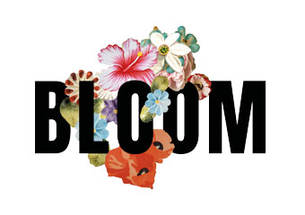 Bloom Signet SchwarzTransp
