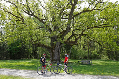 3326 c steiermark tourismus herbert raffalt