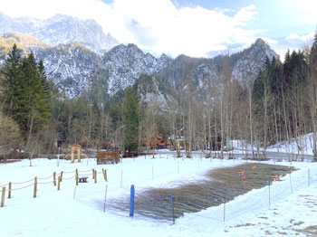 Foto: Nationalpark Gesäuse